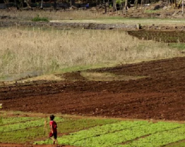 Seorang anak berlari di lahan yang sempat menjadi danau baru akibat siklon Seroja pada awal April 2021 lalu di Kelurahan Sikumana, Kota Kupang, NTT